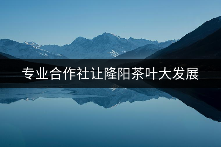 專業(yè)合作社讓隆陽茶葉大發(fā)展