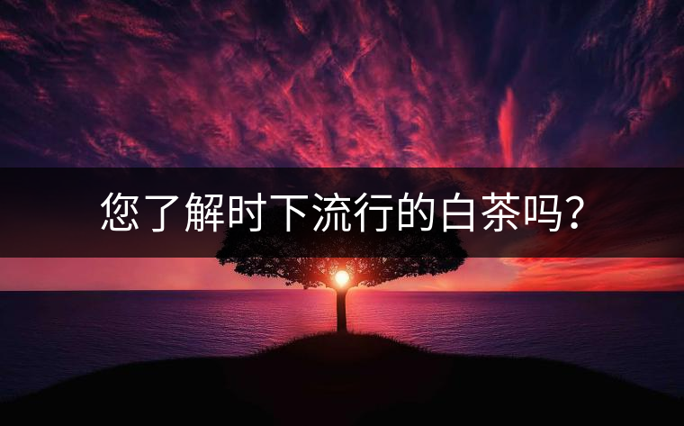 您了解時(shí)下流行的白茶嗎？