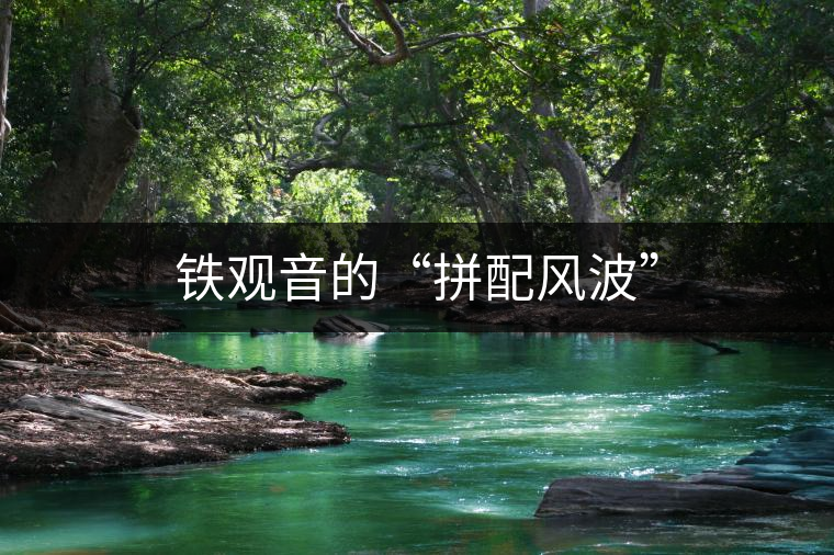 鐵觀音的“拼配風(fēng)波” 鐵觀音的“拼配風(fēng)波”