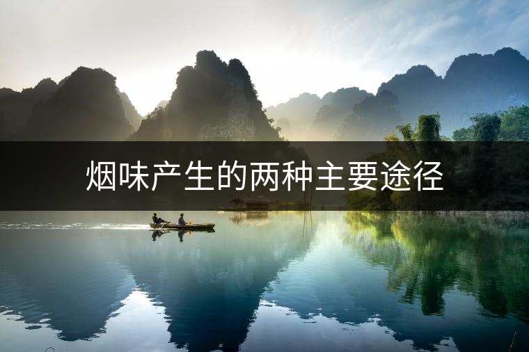 煙味產(chǎn)生的兩種主要途徑 煙味產(chǎn)生的兩種主要途徑