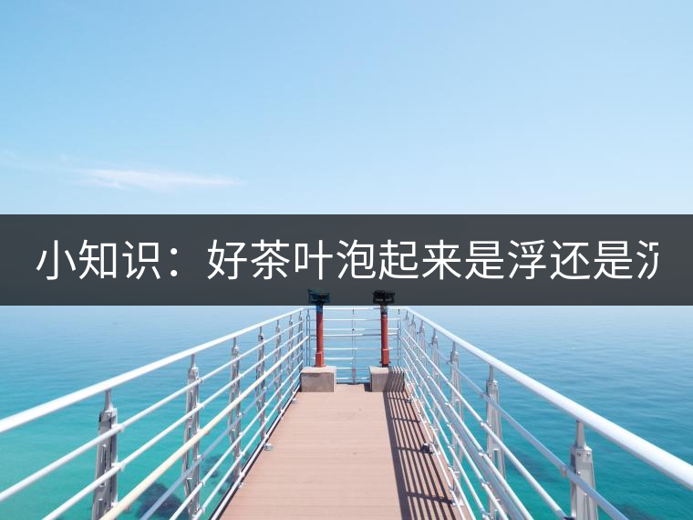 小知識：好茶葉泡起來是浮還是沉？