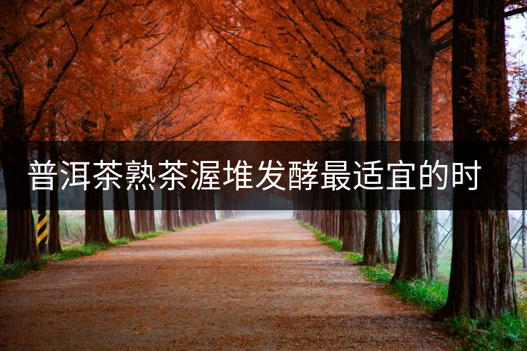 普洱茶熟茶渥堆發(fā)酵最適宜的時(shí)期是什么時(shí)候？