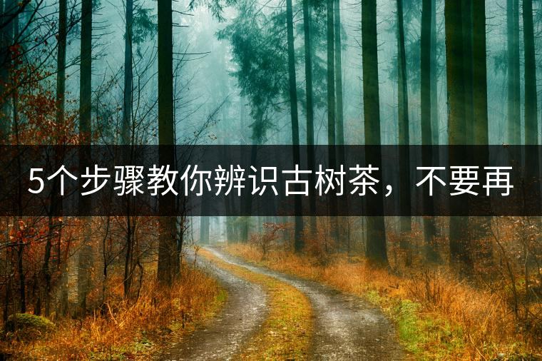 5個(gè)步驟教你辨識(shí)古樹茶，不要再被騙了！