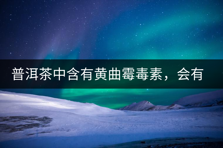 普洱茶中含有黃曲霉毒素，會有致癌的危險？終于有明確的答案了