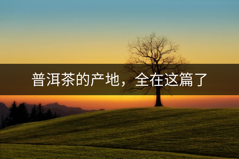 普洱茶的產(chǎn)地，全在這篇了
