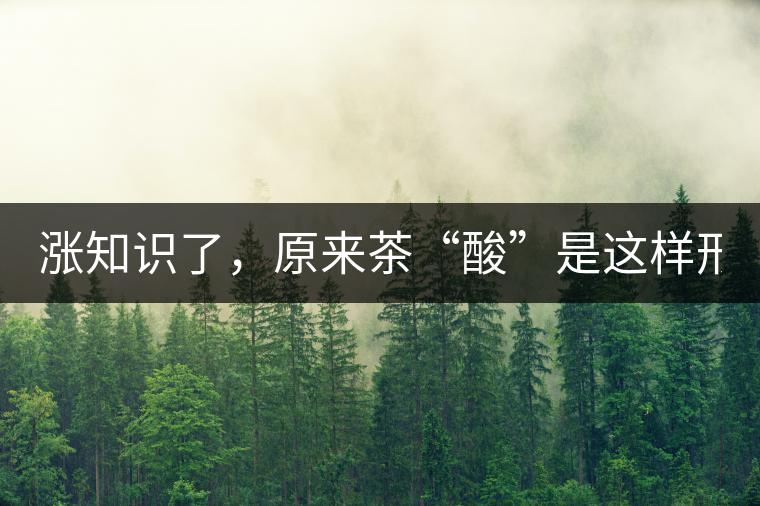 漲知識了，原來茶“酸”是這樣形成的！