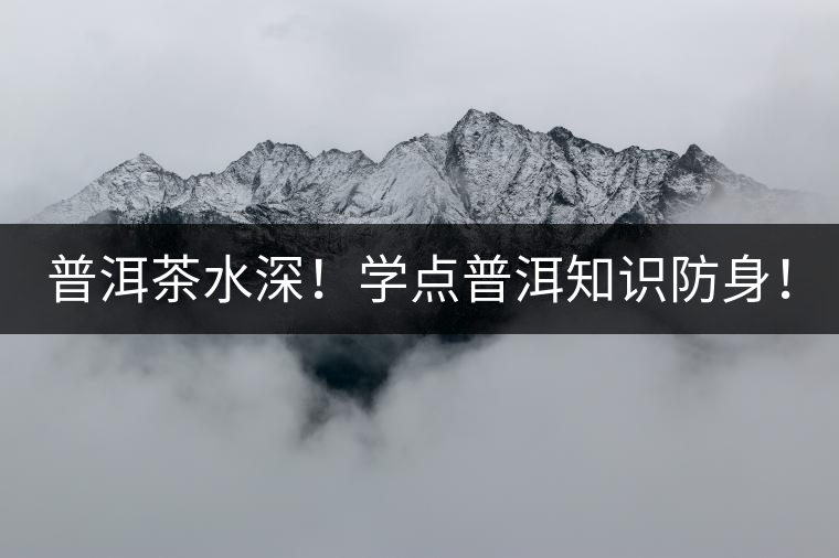 普洱茶水深！學(xué)點普洱知識防身！