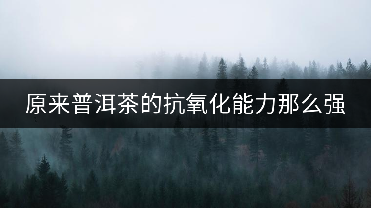 原來普洱茶的抗氧化能力那么強(qiáng)