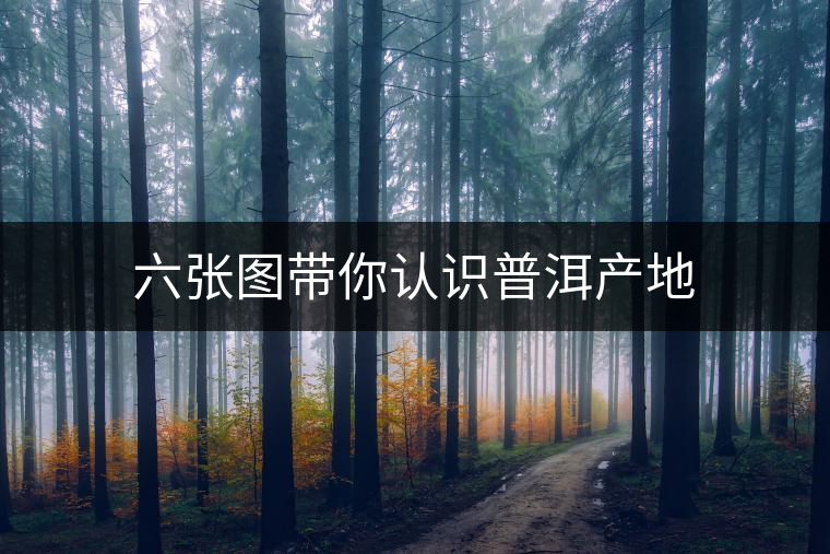 六張圖帶你認(rèn)識(shí)普洱產(chǎn)地