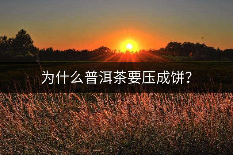 為什么普洱茶要壓成餅？