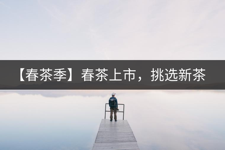 【春茶季】春茶上市，挑選新茶有講究