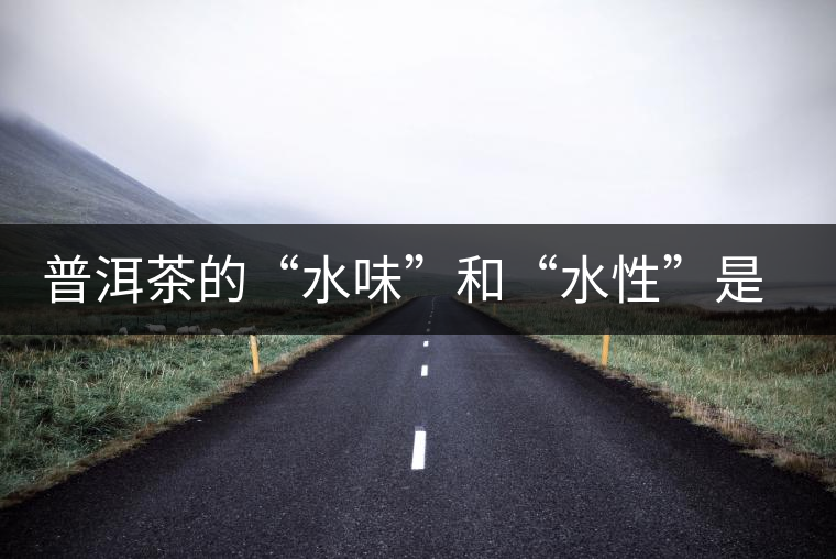 普洱茶的“水味”和“水性”是一種東西還是兩種東西？