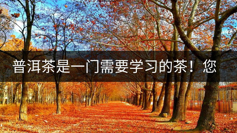 普洱茶是一門需要學習的茶！您學到了多少？看看專家怎么說