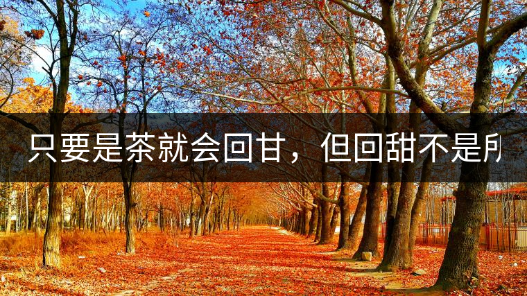 只要是茶就會回甘，但回甜不是所有茶都有！