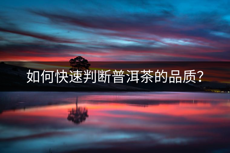 如何快速判斷普洱茶的品質(zhì)？