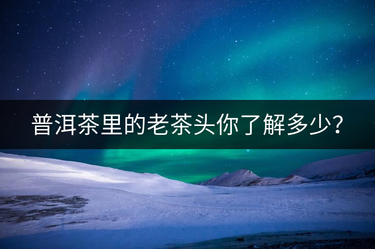 普洱茶里的老茶頭你了解多少？