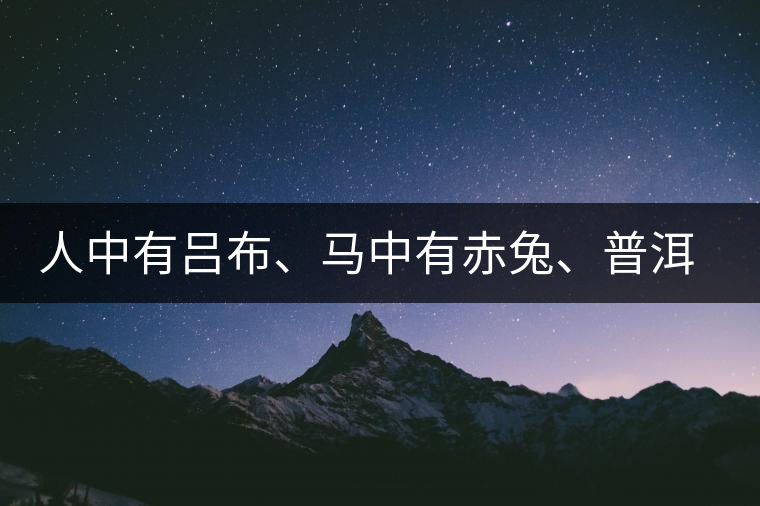 人中有呂布、馬中有赤兔、普洱中有茶化石：碎銀子！