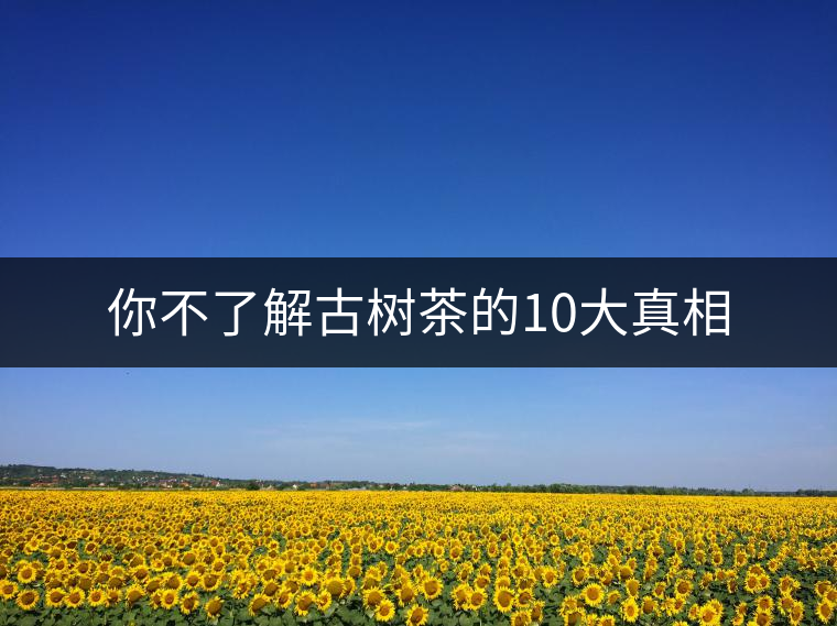 你不了解古樹(shù)茶的10大真相