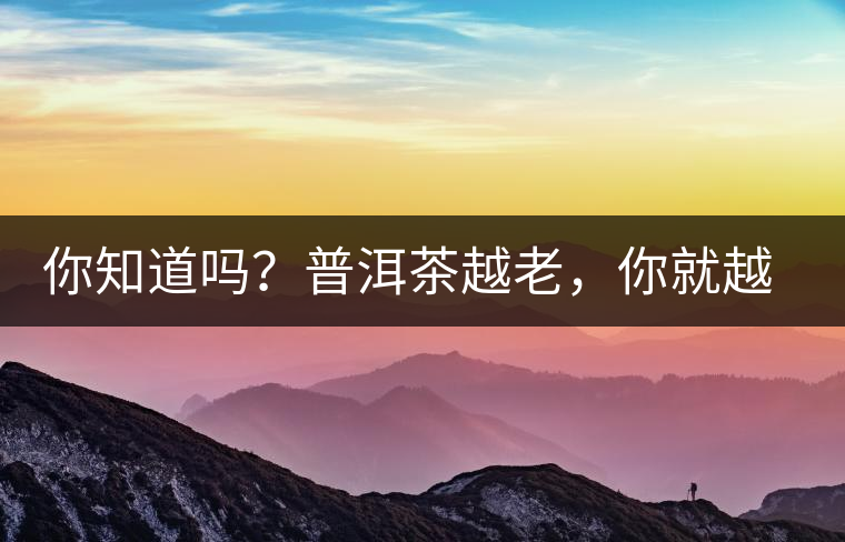你知道嗎？普洱茶越老，你就越年輕