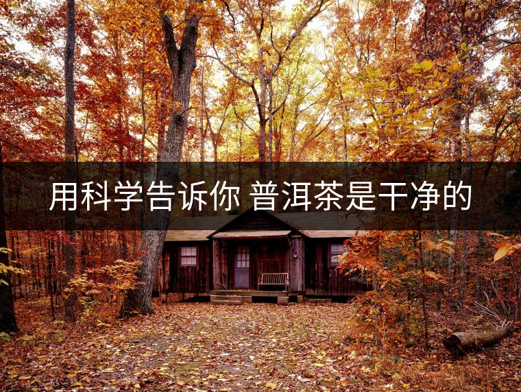 用科學(xué)告訴你 普洱茶是干凈的