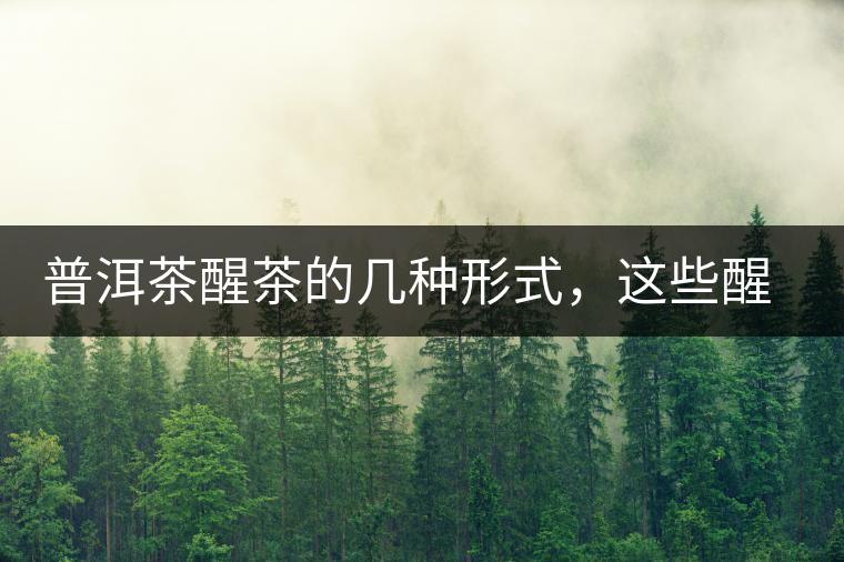 普洱茶醒茶的幾種形式，這些醒茶方法你都會(huì)了嗎？