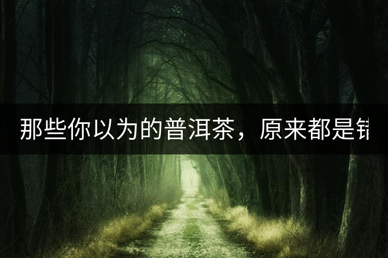 那些你以為的普洱茶，原來都是錯(cuò)的！