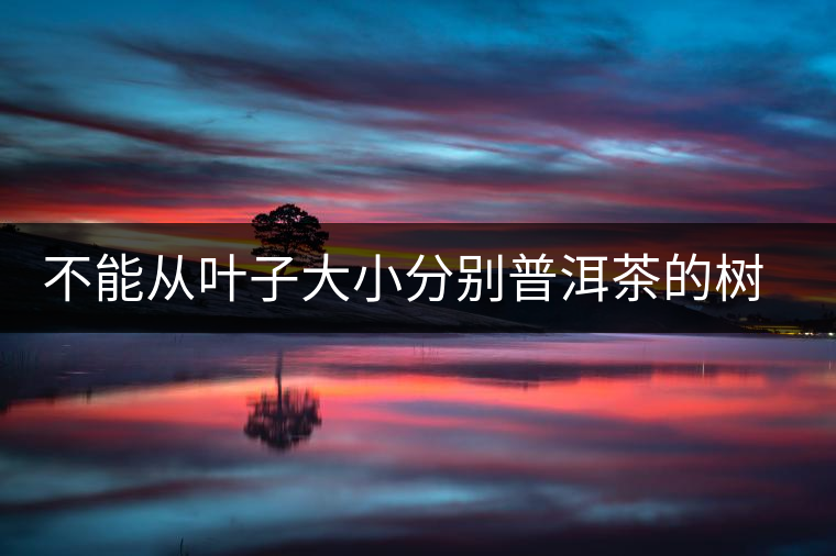 不能從葉子大小分別普洱茶的樹齡 不能從葉子大小分別普洱茶的樹齡
