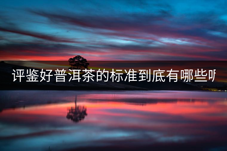 評鑒好普洱茶的標(biāo)準(zhǔn)到底有哪些呢?