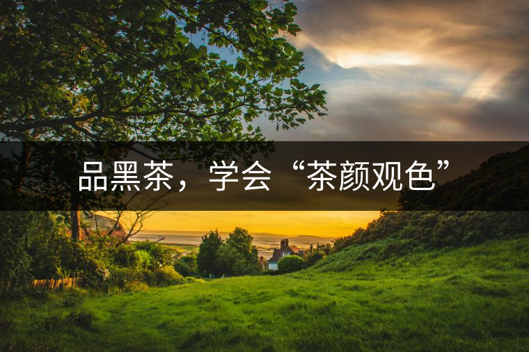 品黑茶，學(xué)會(huì)“茶顏觀色”