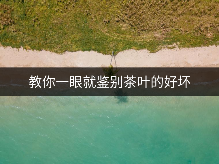 教你一眼就鑒別茶葉的好壞