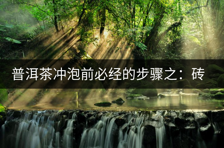 普洱茶沖泡前必經(jīng)的步驟之：磚茶如何撬？