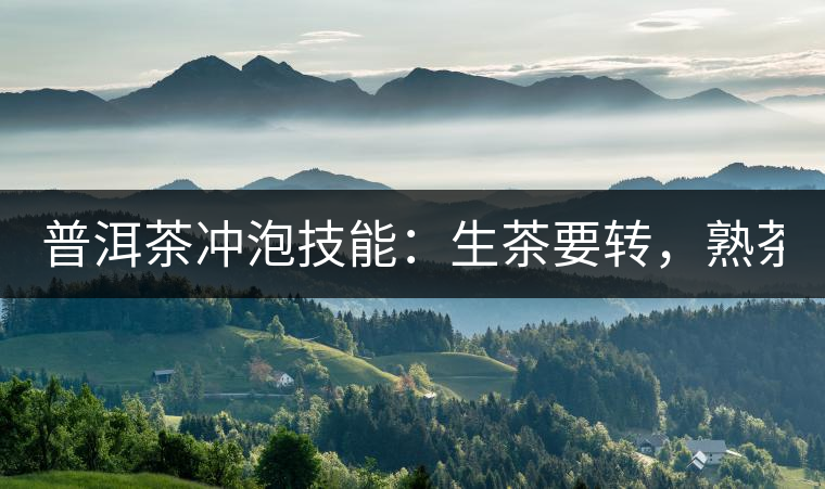 普洱茶沖泡技能：生茶要轉(zhuǎn)，熟茶要柔！