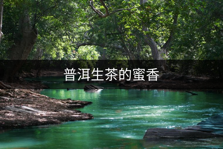普洱生茶的蜜香