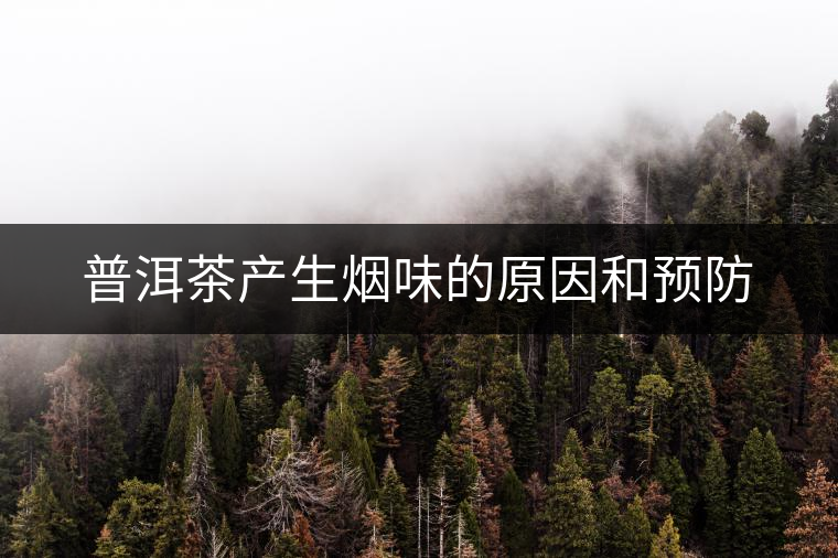 普洱茶產(chǎn)生煙味的原因和預(yù)防 普洱茶產(chǎn)生煙味的原因和預(yù)防