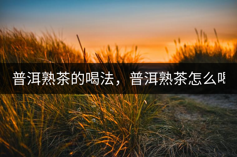 普洱熟茶的喝法，普洱熟茶怎么喝？