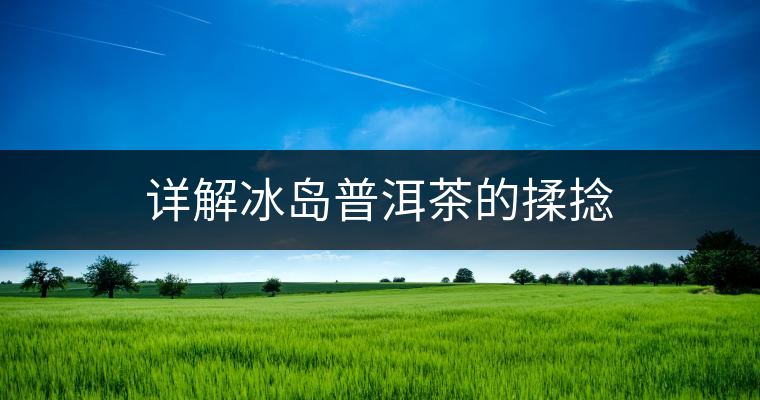 詳解冰島普洱茶的揉捻 詳解冰島普洱茶的揉捻