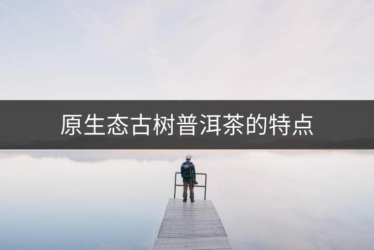 原生態(tài)古樹(shù)普洱茶的特點(diǎn)