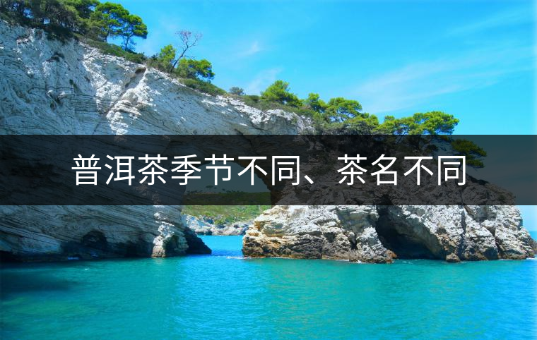 普洱茶季節(jié)不同、茶名不同