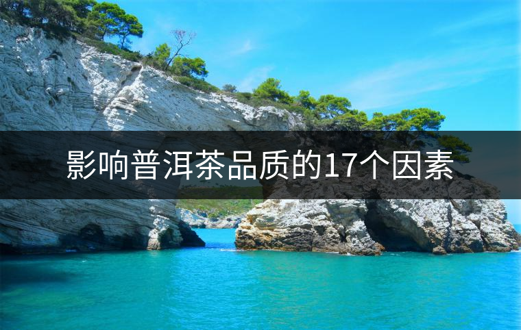 影響普洱茶品質(zhì)的17個因素