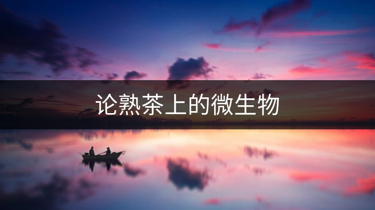 論熟茶上的微生物