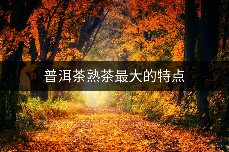 普洱茶熟茶最大的特點 普洱茶熟茶最大的特點