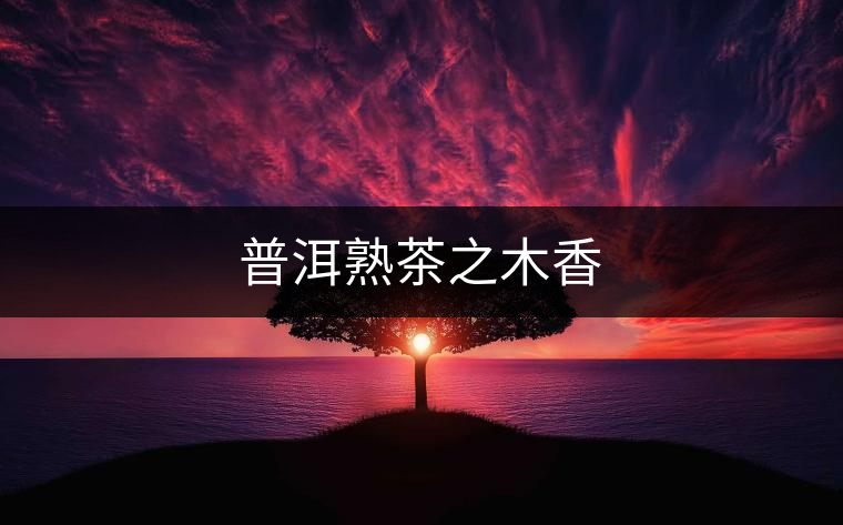 普洱熟茶之木香