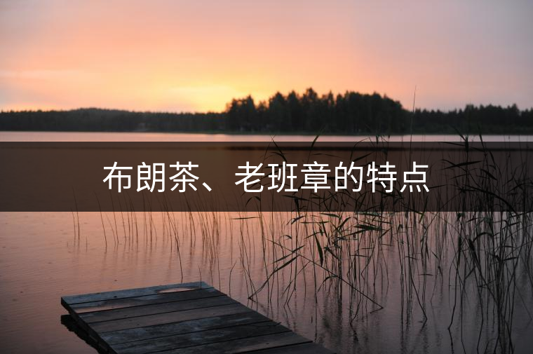 布朗茶、老班章的特點(diǎn)