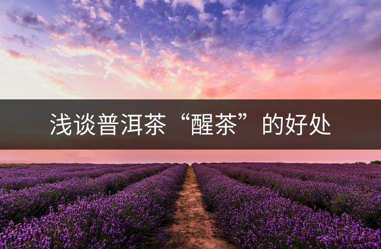 淺談普洱茶“醒茶”的好處 淺談普洱茶“醒茶”的好處