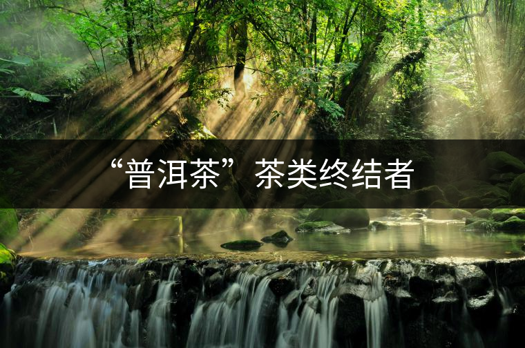 “普洱茶”茶類終結(jié)者 “普洱茶”茶類終結(jié)者