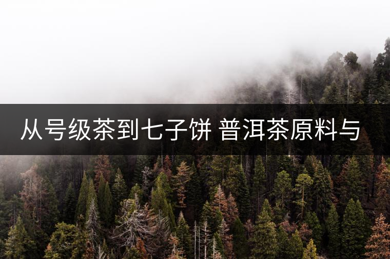 從號(hào)級(jí)茶到七子餅 普洱茶原料與制程的演變 從號(hào)級(jí)茶到七子餅 普洱茶原料與制程的演變