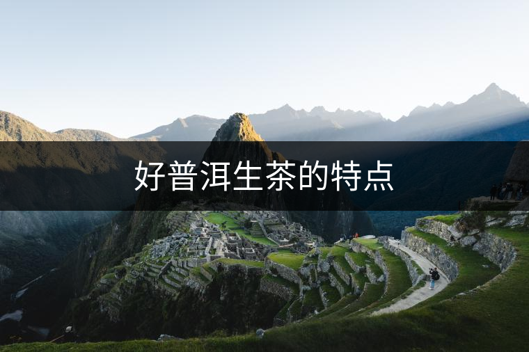 好普洱生茶的特點(diǎn) 好普洱生茶的特點(diǎn)