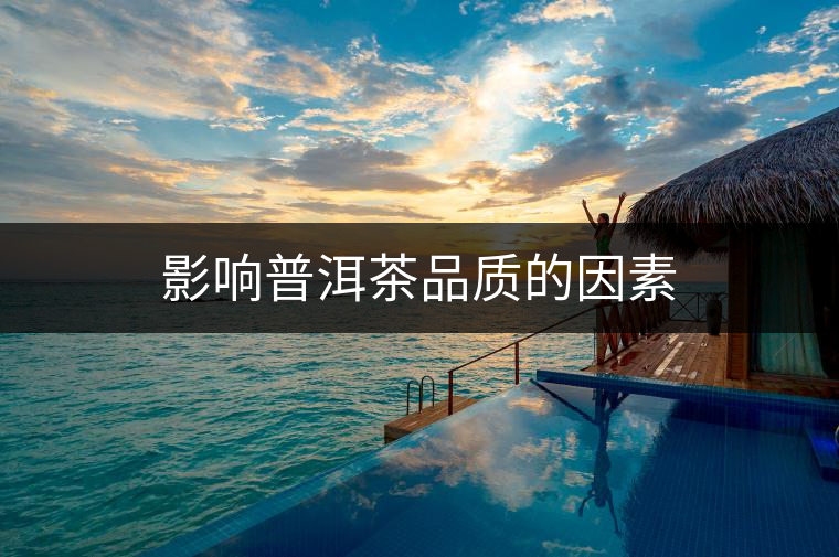 影響普洱茶品質(zhì)的因素
