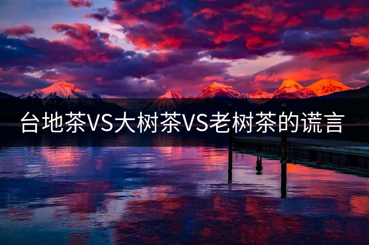 臺地茶VS大樹茶VS老樹茶的謊言你信幾個？