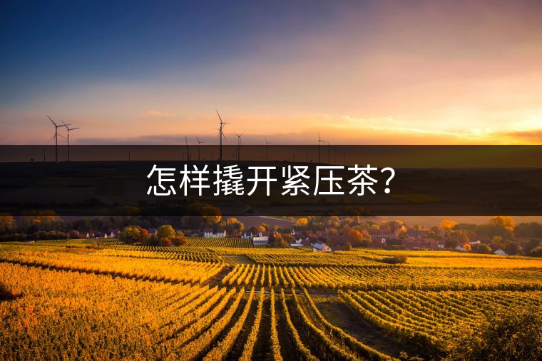 怎樣撬開(kāi)緊壓茶？